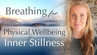 20 Min Breathing Meditation for Physical Wellbeing and Inner Stillness  Daily Routine [upl. by Vitus]