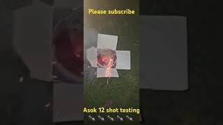 Asok 12 shot 🐜 🐜 🐜 🐜 testing fireworks crackersdelhi trend crackers skyshot experiment [upl. by Ballinger]