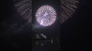 810quotinch JAPAN display shell sunflower ghost willow amp wave seriesvuurwerk fireworks pyro [upl. by Ley]