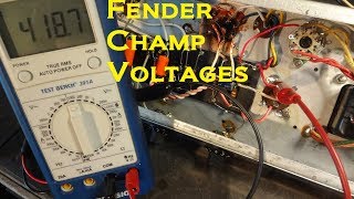 How to measure Fender Champ tube guitar amp stage voltage by Dlab electronics [upl. by Marlen540]