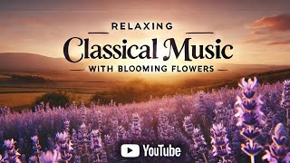 Relaxing Classical Music with Blooming Flowers [upl. by Ahsinel]