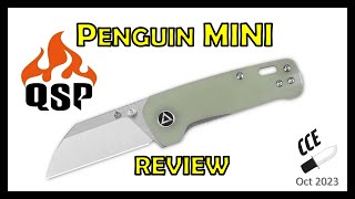 Full Review of the QSP Penguin MINI  Model QS130XS [upl. by Atilrac]