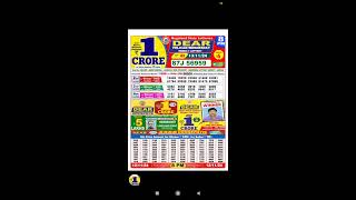 Nagaland Lottery Result Today 131124 at 8 pm dearlottery [upl. by Airdnala]