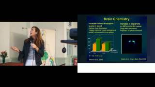 Scientific Research  Health Benefits of Sahaja Yoga Meditation [upl. by Waterman61]