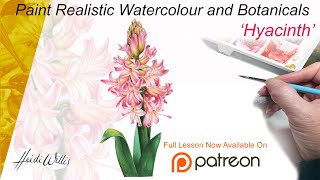 Heidi Willis YTintro hyacinth painting botanical illustration tutorial watercolor [upl. by Raines78]