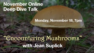 Blackland Prairie Chapter Deep Dive Mushrooms 101 with Jean Suplick [upl. by Noswal]