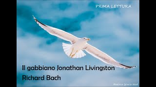 Il gabbiano Jonathan Livingston parte prima [upl. by Deedee]