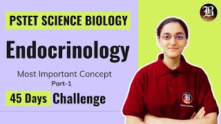 Endocrinology Part1  PSTET Science Preparation  Paper2 Biology  PSTET Science Biology Coaching [upl. by Noni356]