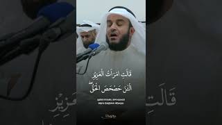 Beautiful Quran Recitation [upl. by Ellerred84]