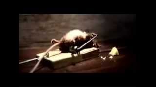 Best TV ad  the mouse fights backflv [upl. by Idonah]