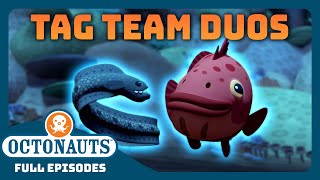 Octonauts  🦭 Awesome Tag Team Duos 🦭  Bumper Pack Special  Full Episodes [upl. by Zug]