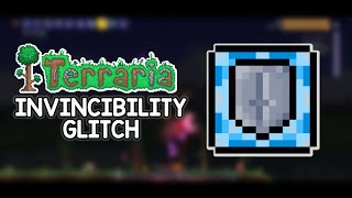 How To Be INVINCIBLE In Terraria 1449 [upl. by Lael]