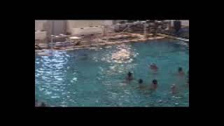 Nov 9 Storm 2024 Waterpolo [upl. by Aissirac615]