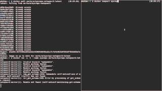 sysreponetopeer2 ssh video [upl. by Lillywhite]