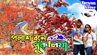 Purilia Drone Video  Purulia and Palash  পলাশের পুরুলিয়া  Purulia Tour  Sacred Tree in Purulia [upl. by Allecnirp]