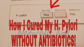 Cure H Pylori Without Antibiotics With Test Proof [upl. by Ellette]