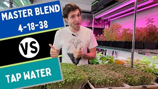 MasterBlend 41838 Nutrient Comparison for Microgreens  On The Grow [upl. by Epolulot]