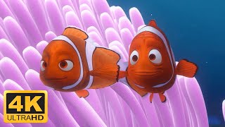 Finding Nemo 2003 Opening Scene Meet Nemos Mom amp Dad Barracuda Attacks Remastered 4K 60FPS [upl. by Elokyn]