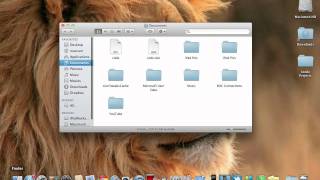 How To Make A Mac OS X Install DVD [upl. by Elyrrad457]