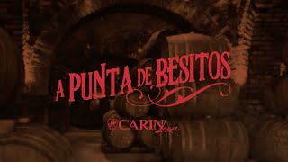 Carin Leon  A Punta De Besitos Video Lyric [upl. by Don]