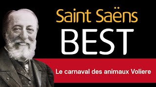 🎵 동물의 사육제 중 커다란 새장  생상스 Le carnaval des animaux Voliere SaintSaëns [upl. by Blackman]