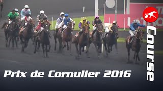 Prix de Cornulier 2016  La Course [upl. by Flss]