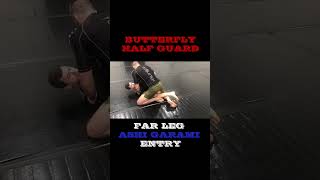 Far Leg Ashi Garami Entry Shoelace Grip Variation  Butterfly Half Guard Taught in 30 Seconds [upl. by Egduj]