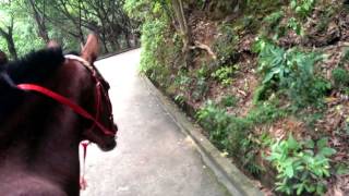 Riding Wild Horse captured by edepot [upl. by Noerb484]