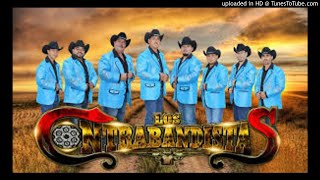 Los Contrabandistas corridos [upl. by Areval]