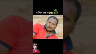 नागिन का बदला😡 story nagin snake amazingfacts factsinhindi shortfeed facts funnynagin [upl. by Pelson]