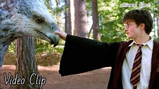 Draco Malfoy vs Buckbeak with healthbars [upl. by Atila]