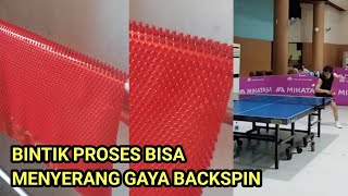 BINTIK PROSES BISA MENYERANG GAYA BACKSPIN TENIS MEJA PINGPONG SPIN LANGIT ITTF [upl. by Colver]