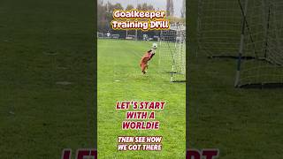 Woldie Academy Goalkeeper training drill 8 year old Arlo Johnson Southampton Football Ramsdale Jnr [upl. by Alludba]