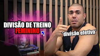 Como montar uma divisão de treino feminino [upl. by Anilatsyrc70]