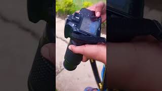 nikon 3500d 70 300mm lens amazing photography smartphone camera canon dslrcamera photoshoot [upl. by Aridnere]