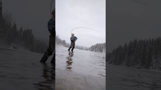 True Canadian winter steelhead fishing steelhead fishing flyfishing [upl. by Yeltneb219]