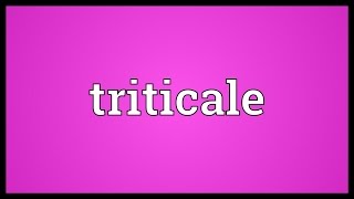 Triticale Meaning [upl. by Bascomb]