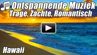 Instrumentale Piano Muziek Pianosongs Romantische Liefdesliedjes Voor de Studie van Ontspannen Beste [upl. by Nelleh625]