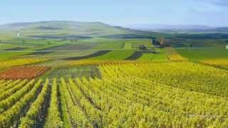 Travel Guide Rhineland Germany  Romantic Germany Wonderful Wine [upl. by Ynehpets]