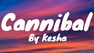 Cannibal Lyrics  Kesha [upl. by Iredale]