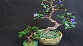 Make a Bonsai Tree out of Wire [upl. by Elocim]