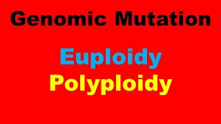 Euploidy l Polyploidy l Genomic Mutations [upl. by Cock975]