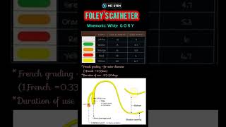 Foleys Catheter mnemonic [upl. by Bocyaj]