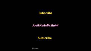 Areli kadaile chysi Nepali song for ever best🇳🇵❤️ [upl. by Ayikur571]