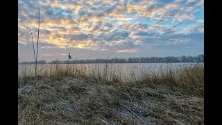 Weerbericht vrijdag Steeds kouder [upl. by Esyli]