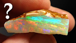 Whatever Happened to The Wikipedia OPAL [upl. by Noek]