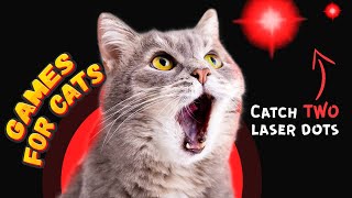 Two RED DOTs for cats on screen  entertainment FOR CATS  BEST video for cats [upl. by Ecnaled]