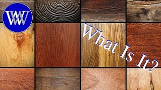 Wood Identifications Examples [upl. by Atwahs]