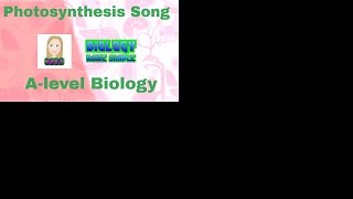 Photosynthesis song  A level Biology [upl. by Maggee]