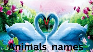 Animals nameseducative children 3DanimationKidsofficialsw3x [upl. by Bradman]